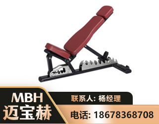 阿里可调哑铃椅